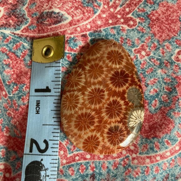 Fossil Coral Cabochon with Unique Crystalline Pattern - Picture 2 of 7